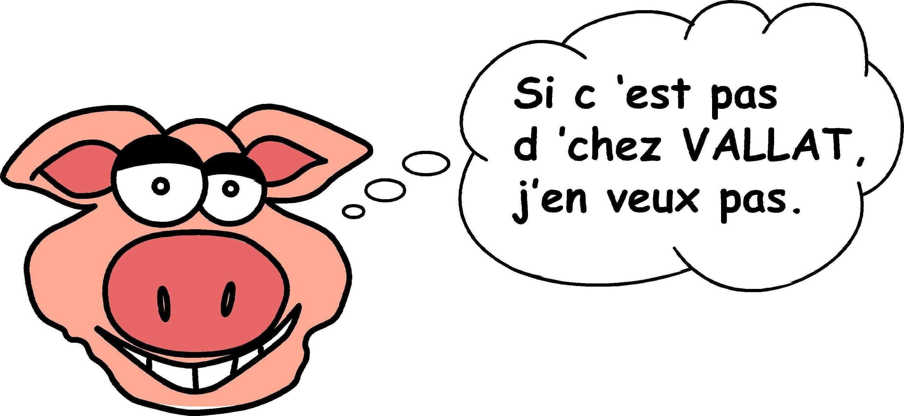 Cochonou